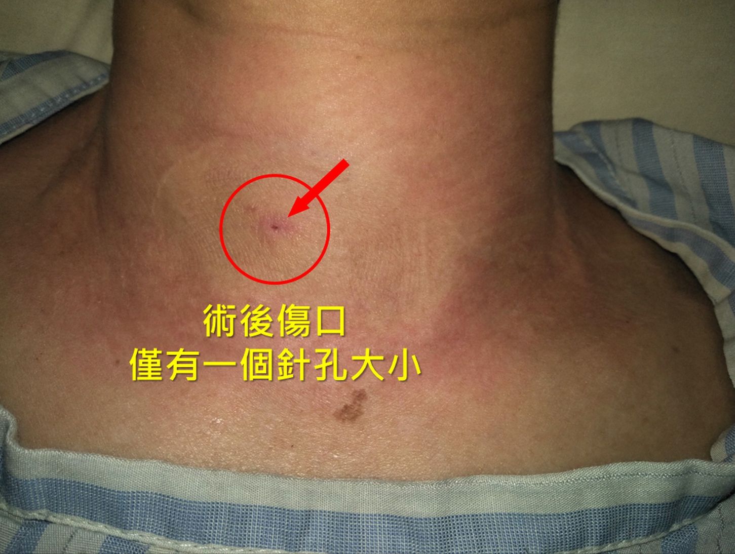 圖